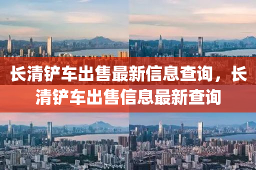 长清铲车出售最新信息查询，长清铲车出售信息最新查询