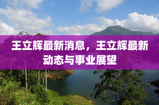 王立辉最新消息，王立辉最新动态与事业展望