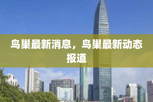 鸟巢最新消息，鸟巢最新动态报道