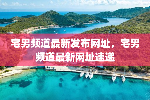 宅男频道最新发布网址，宅男频道最新网址速递