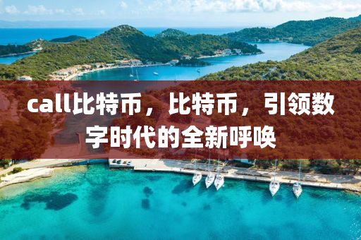 call比特币，比特币，引领数字时代的全新呼唤