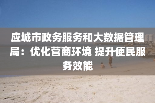 应城市政务服务和大数据管理局：优化营商环境 提升便民服务效能