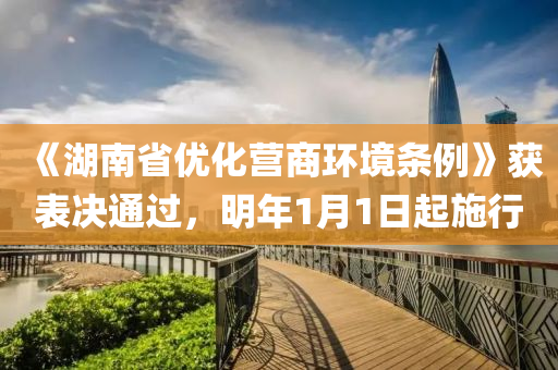《湖南省优化营商环境条例》获表决通过，明年1月1日起施行