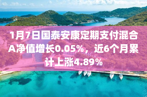 1月7日国泰安康定期支付混合A净值增长0.05%，近6个月累计上涨4.89%