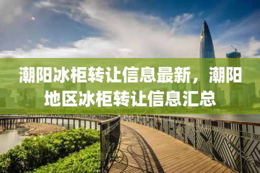 潮阳冰柜转让信息最新，潮阳地区冰柜转让信息汇总