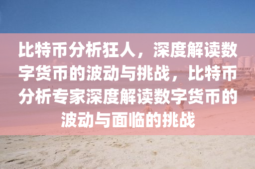 比特币分析狂人，深度解读数字货币的波动与挑战，比特币分析专家深度解读数字货币的波动与面临的挑战
