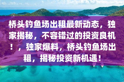 桥头钓鱼场出租最新动态，独家揭秘，不容错过的投资良机！，独家爆料，桥头钓鱼场出租，揭秘投资新机遇！