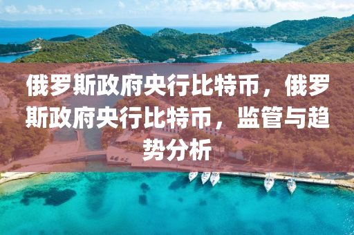 俄罗斯政府央行比特币，俄罗斯政府央行比特币，监管与趋势分析