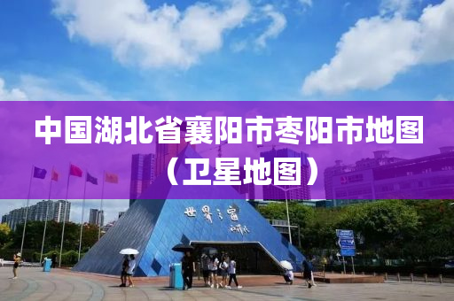 中国湖北省襄阳市枣阳市地图（卫星地图）