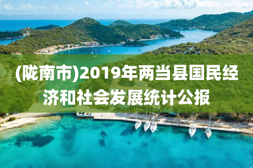 (陇南市)2019年两当县国民经济和社会发展统计公报
