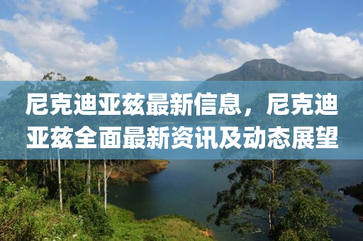 尼克迪亚兹最新信息，尼克迪亚兹全面最新资讯及动态展望