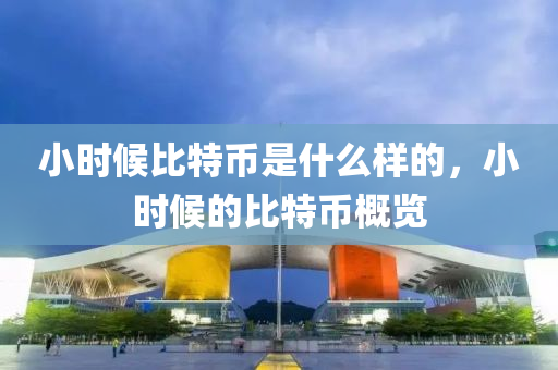 小时候比特币是什么样的，小时候的比特币概览