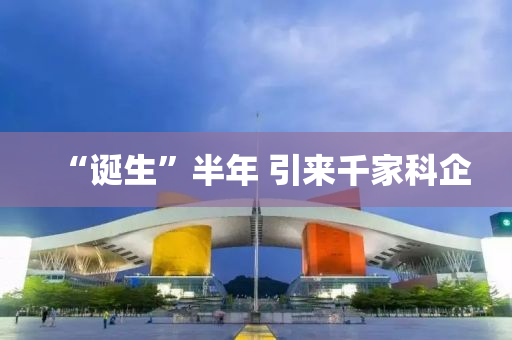“诞生”半年 引来千家科企