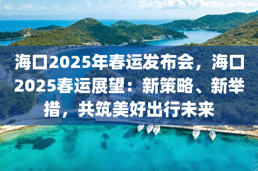 海口2025年春运发布会，海口2025春运展望：新策略、新举措，共筑美好出行未来
