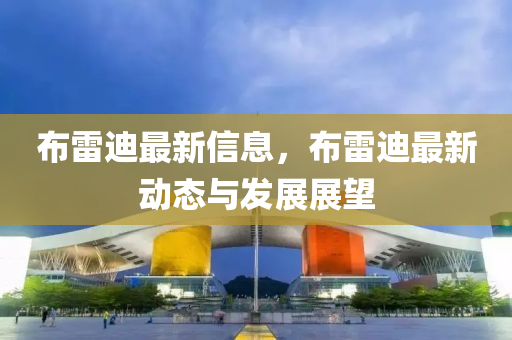布雷迪最新信息，布雷迪最新动态与发展展望
