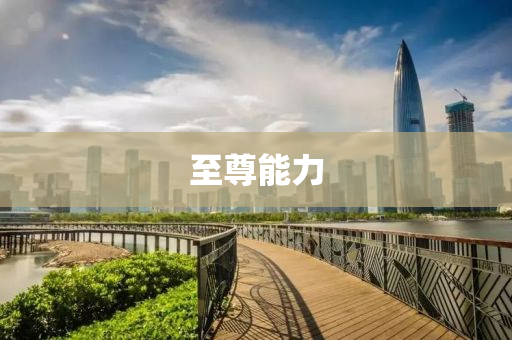 至尊能力