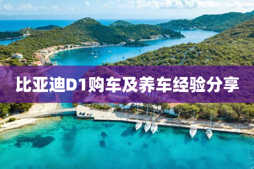 比亚迪D1购车及养车经验分享