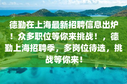 德勤在上海最新招聘信息出炉！众多职位等你来挑战！，德勤上海招聘季，多岗位待选，挑战等你来！