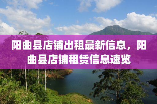 阳曲县店铺出租最新信息，阳曲县店铺租赁信息速览