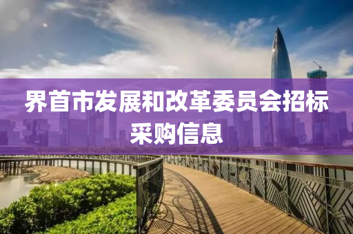 界首市发展和改革委员会招标采购信息