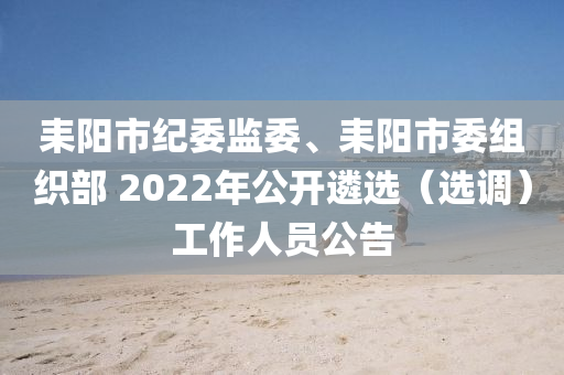 耒阳市纪委监委、耒阳市委组织部 2022年公开遴选（选调）工作人员公告