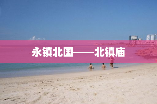 zhenzhi 第28页