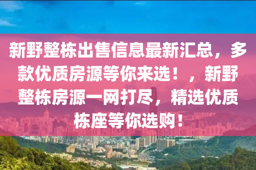 新野整栋出售信息最新汇总，多款优质房源等你来选！，新野整栋房源一网打尽，精选优质栋座等你选购！