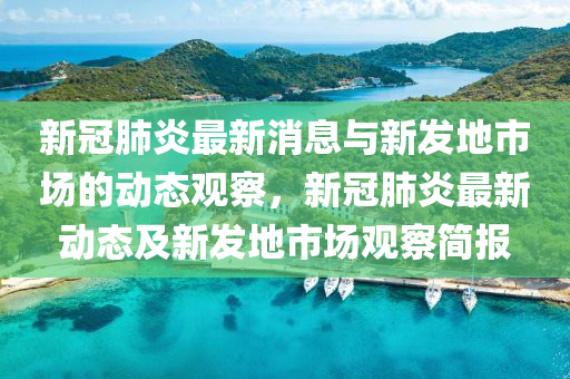 新冠肺炎最新消息与新发地市场的动态观察，新冠肺炎最新动态及新发地市场观察简报