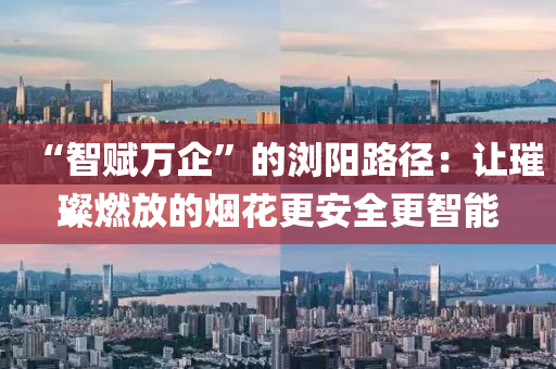 “智赋万企”的浏阳路径：让璀璨燃放的烟花更安全更智能