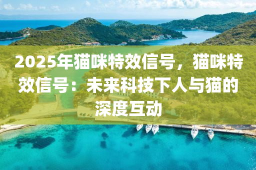 2025年猫咪特效信号，猫咪特效信号：未来科技下人与猫的深度互动