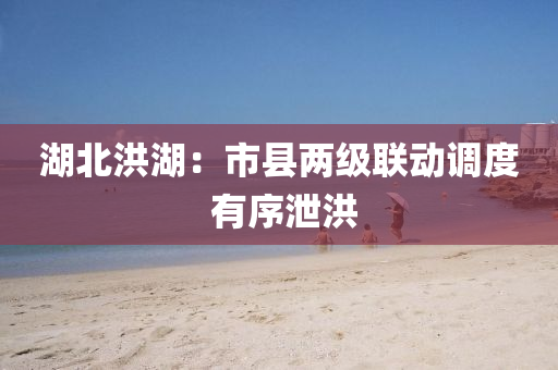湖北洪湖：市县两级联动调度 有序泄洪