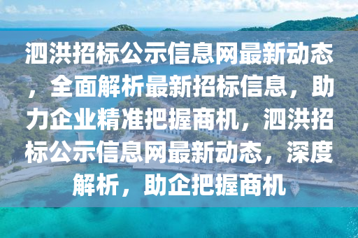 泗洪招标公示信息网最新动态，全面解析最新招标信息，助力企业精准把握商机，泗洪招标公示信息网最新动态，深度解析，助企把握商机