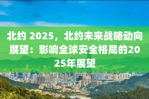北约 2025，北约未来战略动向展望：影响全球安全格局的2025年展望