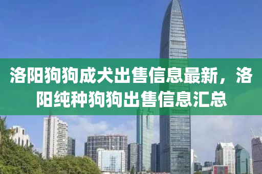 洛阳狗狗成犬出售信息最新，洛阳纯种狗狗出售信息汇总