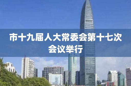 市十九届人大常委会第十七次会议举行