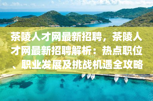 茶陵人才网最新招聘，茶陵人才网最新招聘解析：热点职位、职业发展及挑战机遇全攻略