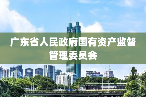 广东省人民政府国有资产监督管理委员会