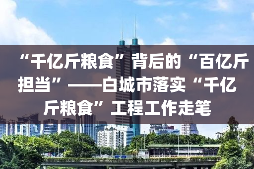 “千亿斤粮食”背后的“百亿斤担当”——白城市落实“千亿斤粮食”工程工作走笔