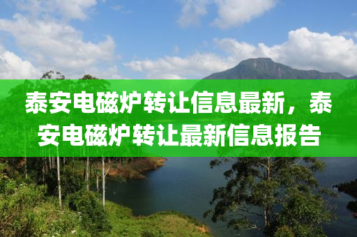 泰安电磁炉转让信息最新，泰安电磁炉转让最新信息报告