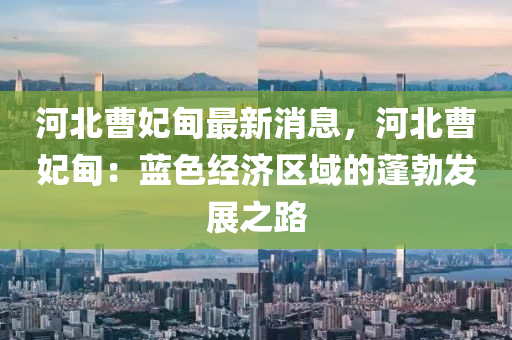 河北曹妃甸最新消息，河北曹妃甸：蓝色经济区域的蓬勃发展之路