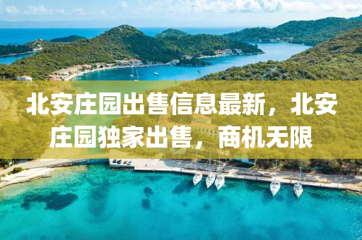 北安庄园出售信息最新，北安庄园独家出售，商机无限