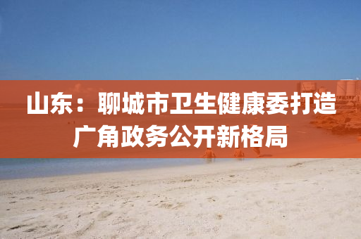 山东：聊城市卫生健康委打造广角政务公开新格局
