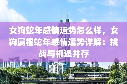 女狗蛇年感情运势怎么样，女狗属相蛇年感情运势详解：挑战与机遇并存