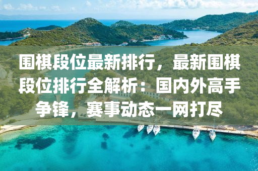 围棋段位最新排行，最新围棋段位排行全解析：国内外高手争锋，赛事动态一网打尽
