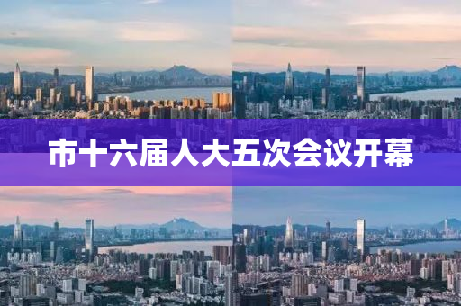 市十六届人大五次会议开幕