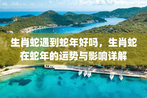 生肖蛇遇到蛇年好吗，生肖蛇在蛇年的运势与影响详解