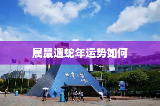 2025年1月11日 第19页