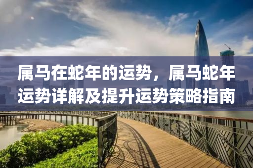 属马在蛇年的运势，属马蛇年运势详解及提升运势策略指南