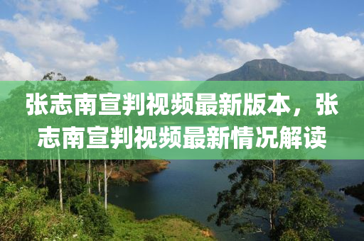 张志南宣判视频最新版本，张志南宣判视频最新情况解读