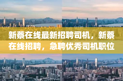新蔡在线最新招聘司机，新蔡在线招聘，急聘优秀司机职位